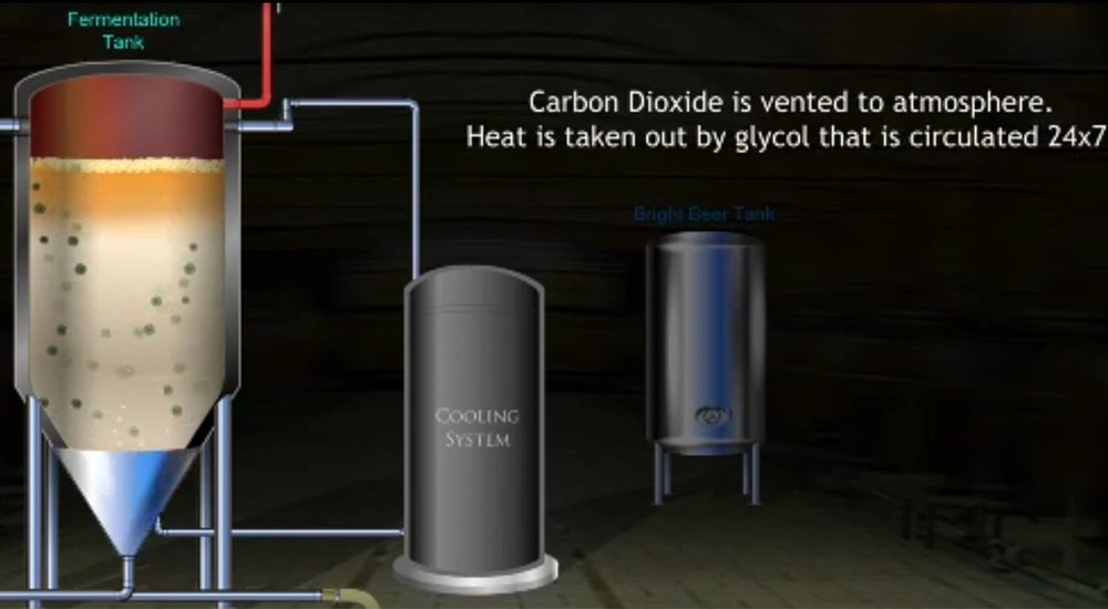 Beer Fermentation，Fermentation process